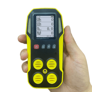Enviro Test Construct Multi Gas and Carbon Monoxide Gas Detector