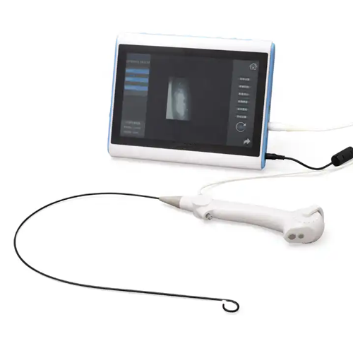Enviro Test Construct Disposable Flexible Endoscope