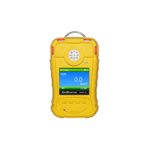 Hydrogen Sulfide Gas Detector (Storage, High Accuracy)